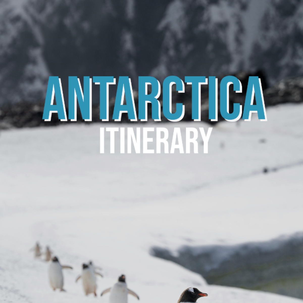 Antarctica Itinerary Template - Edit Online & Download