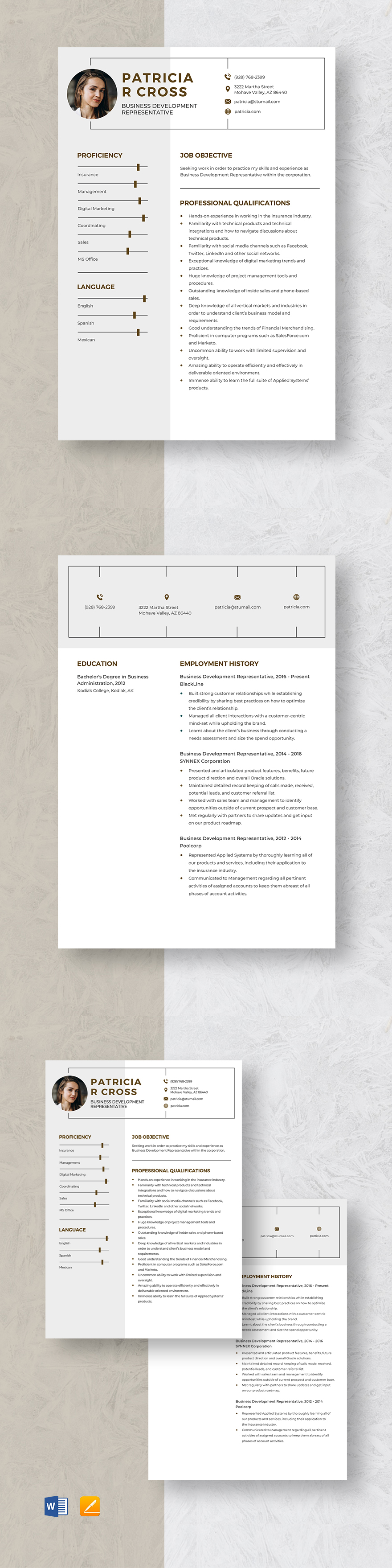 Business Development Representative Resume Template Word Apple Pages