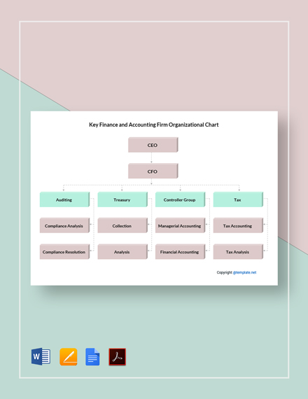 accounting firm/department organizational charts