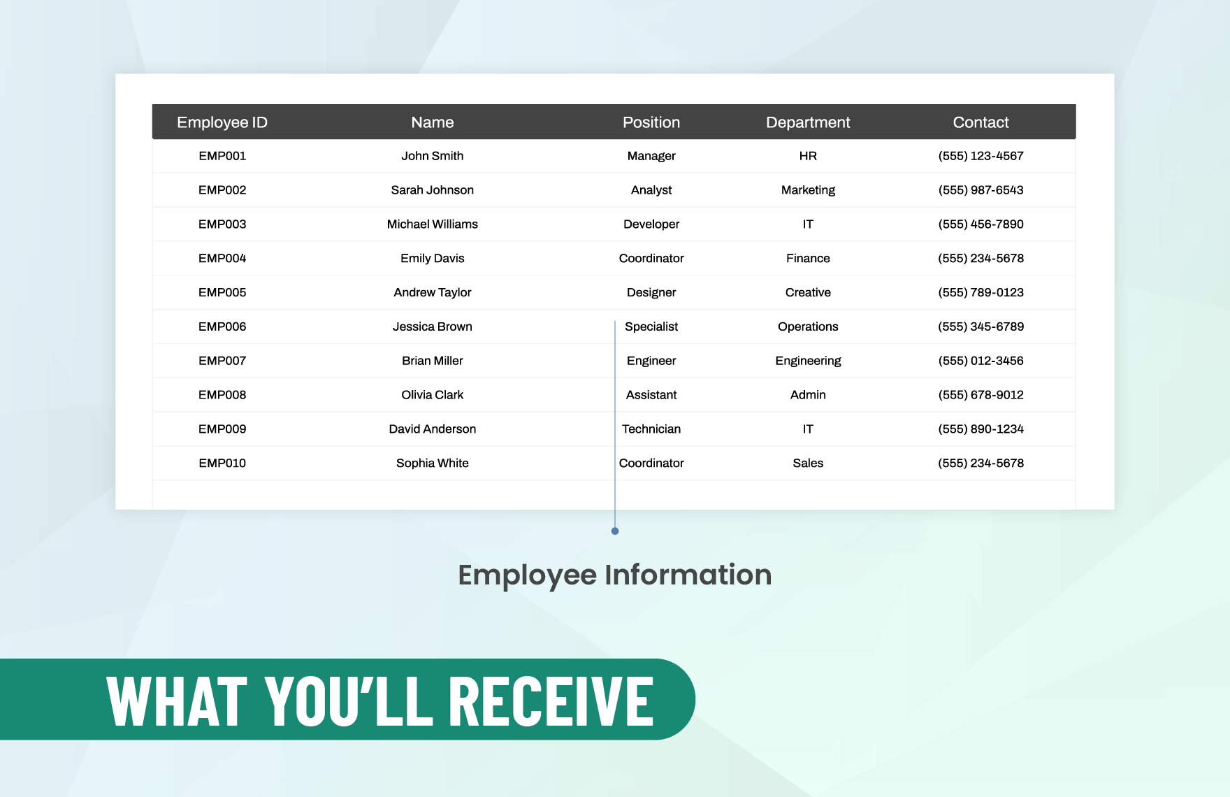 Corporate Paystub Template