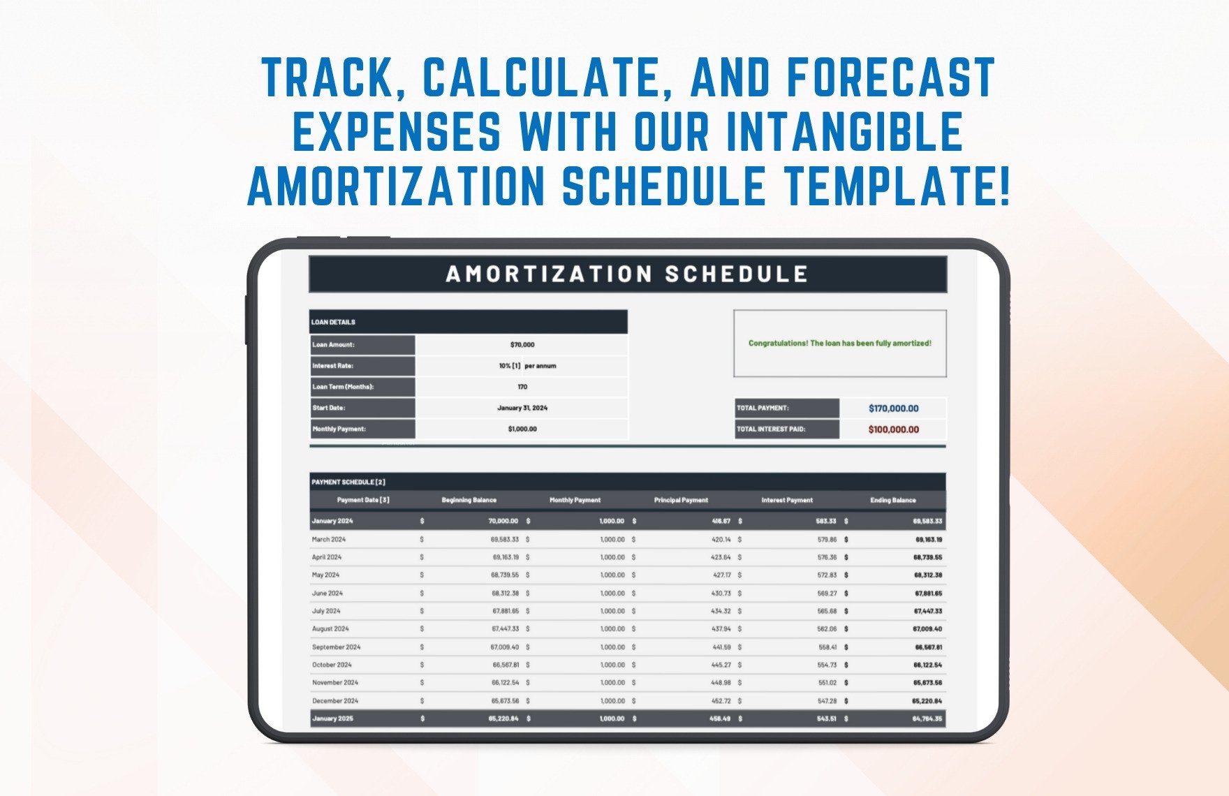 Intangible Amortization Schedule Template