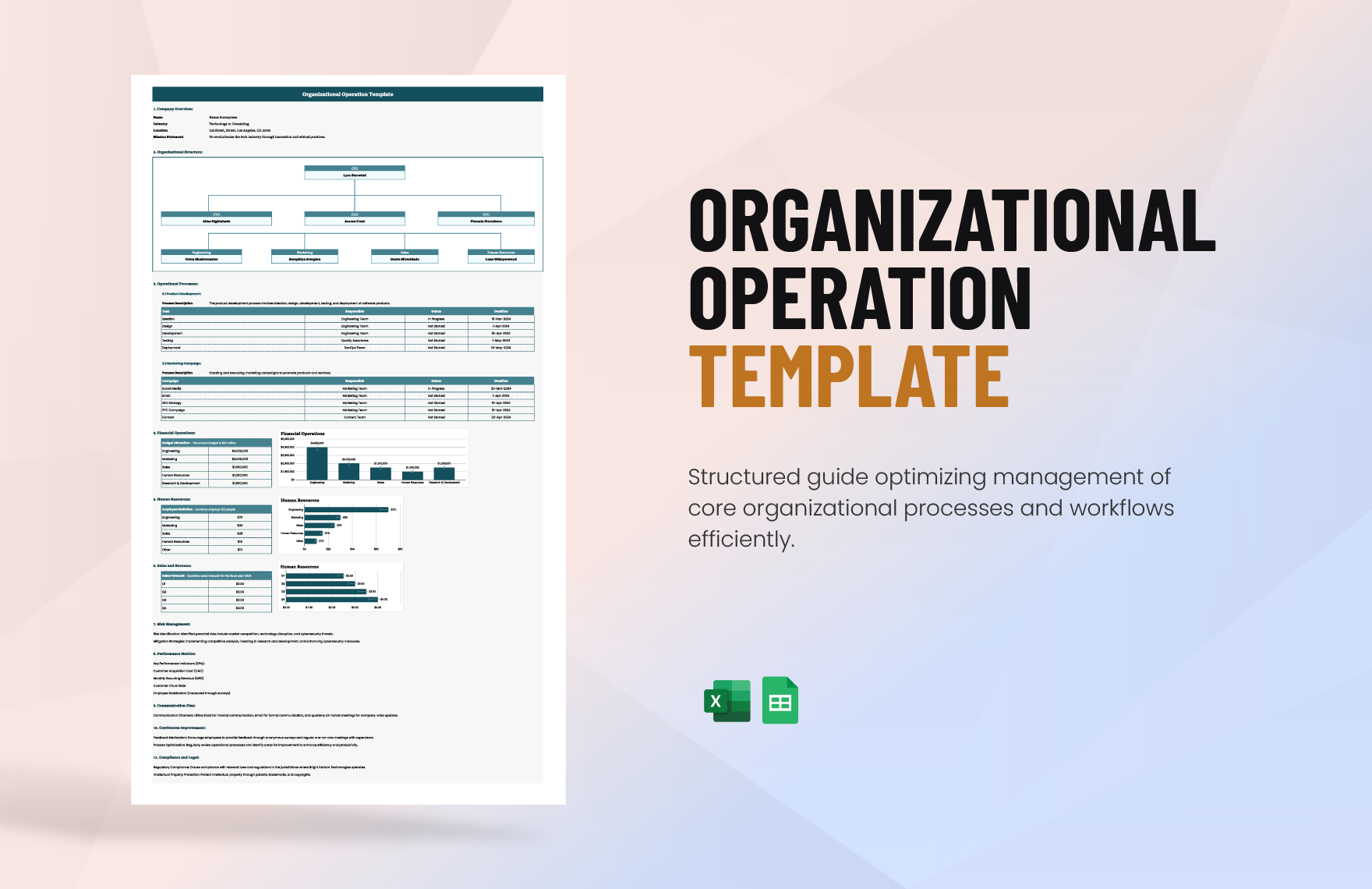 Organizational Operation Template in Excel, Google Sheets