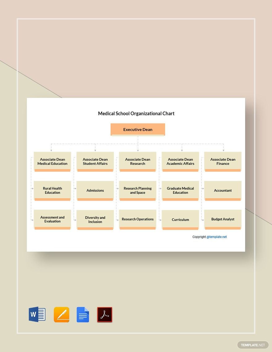 Free Medical School Organizational Chart Template in Word, Google Docs, PDF, Apple Pages