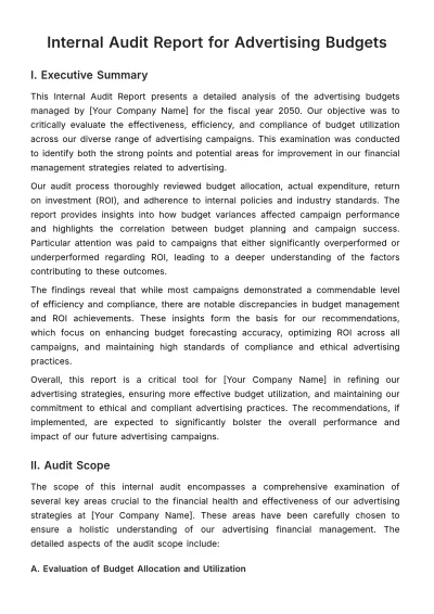 Free Internal Audit Report for Advertising Budgets Template to Edit Online