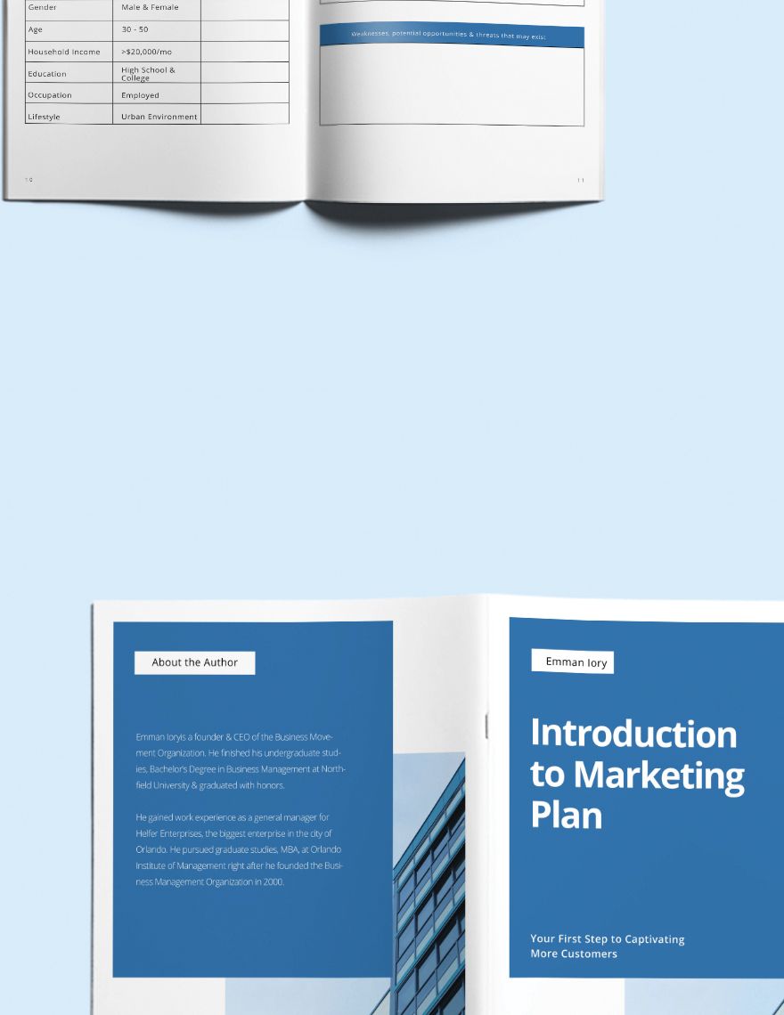 Marketing Plan Workbook Template