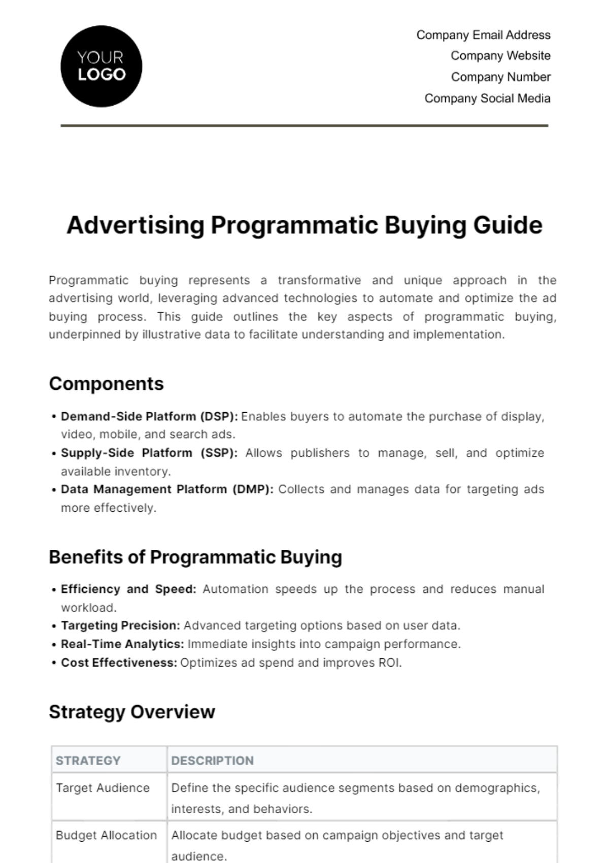 Free Advertising Programmatic Buying Guide Template