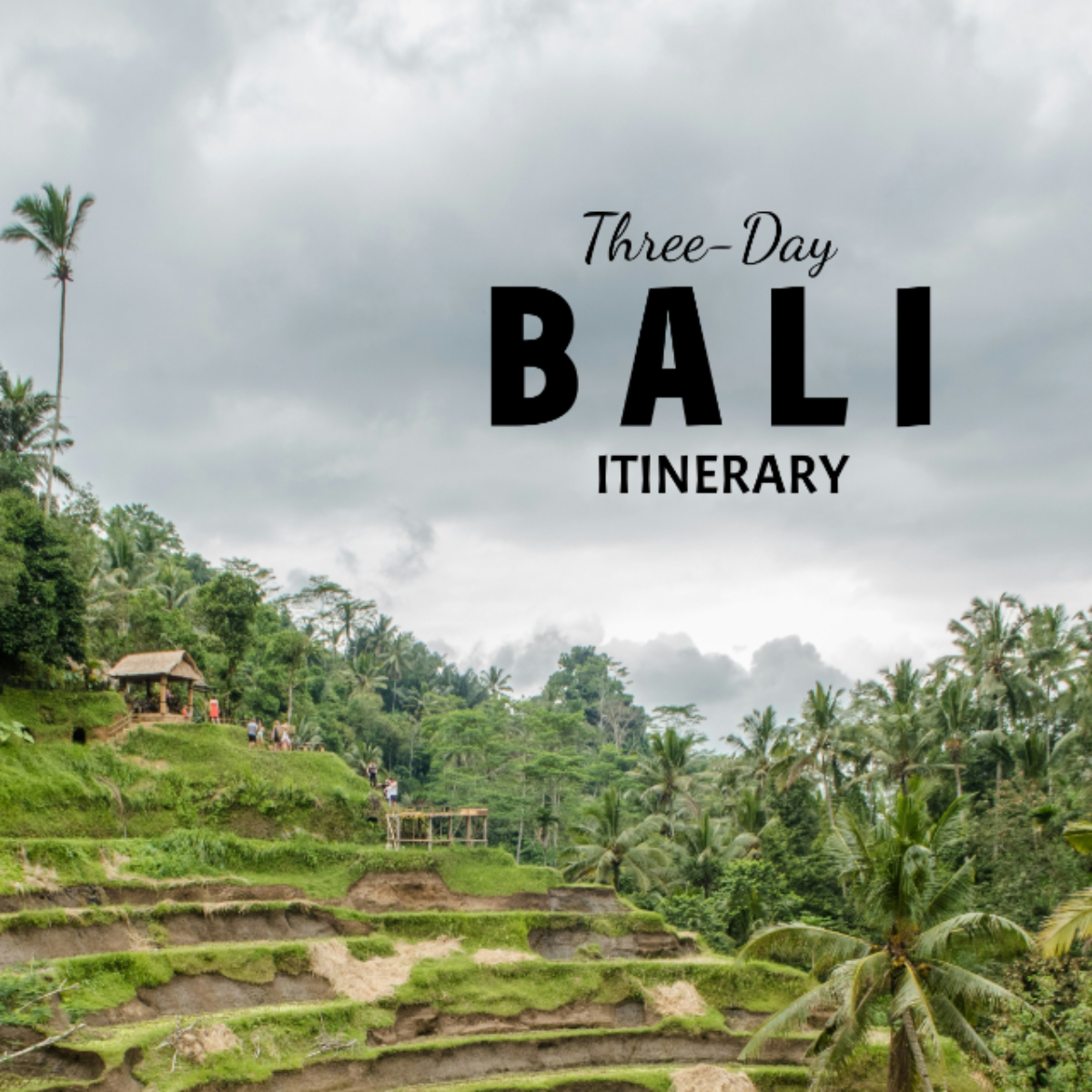 3 Day Bali Itinerary Template - Edit Online & Download