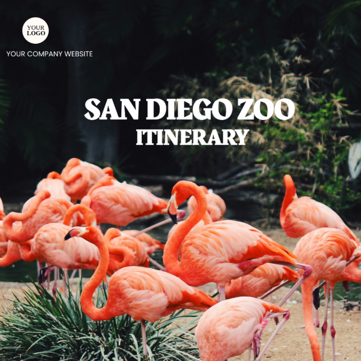 San Diego Zoo Itinerary Template - Edit Online & Download