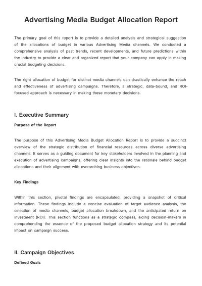 Free Advertising Media Budget Allocation Report Template to Edit Online