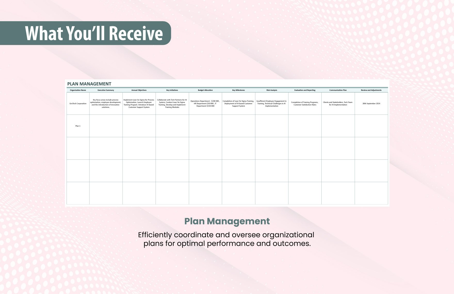 Annual Plan Operation Template