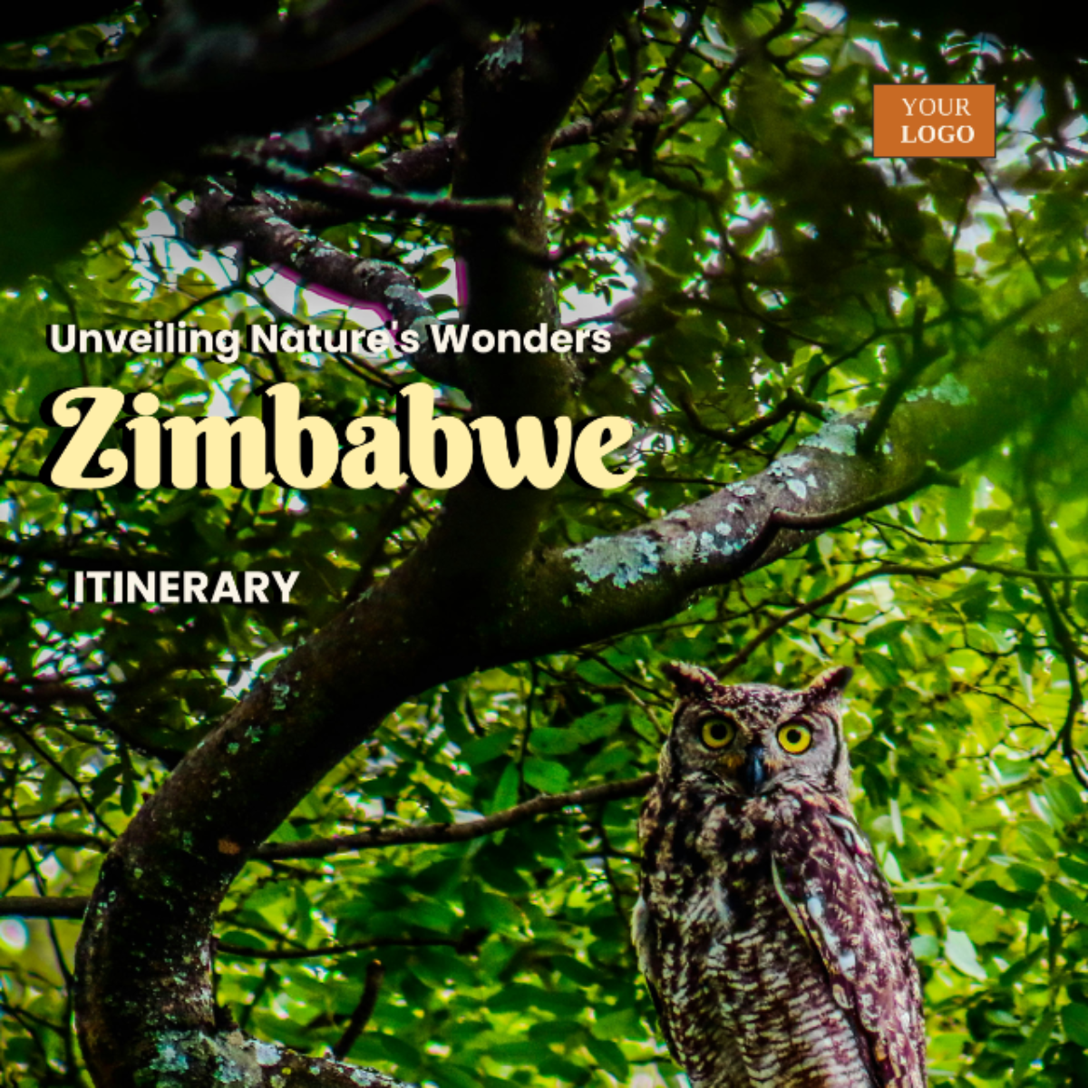 Zimbabwe Itinerary Template - Edit Online & Download