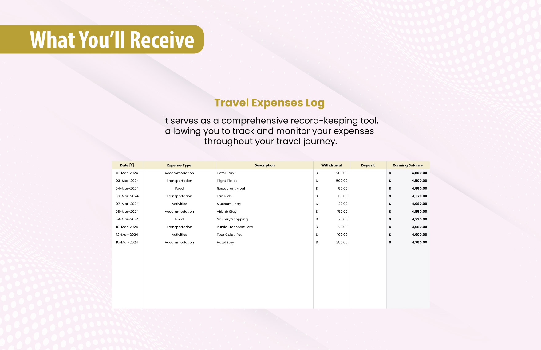 Check Register for Travel Expenses Template