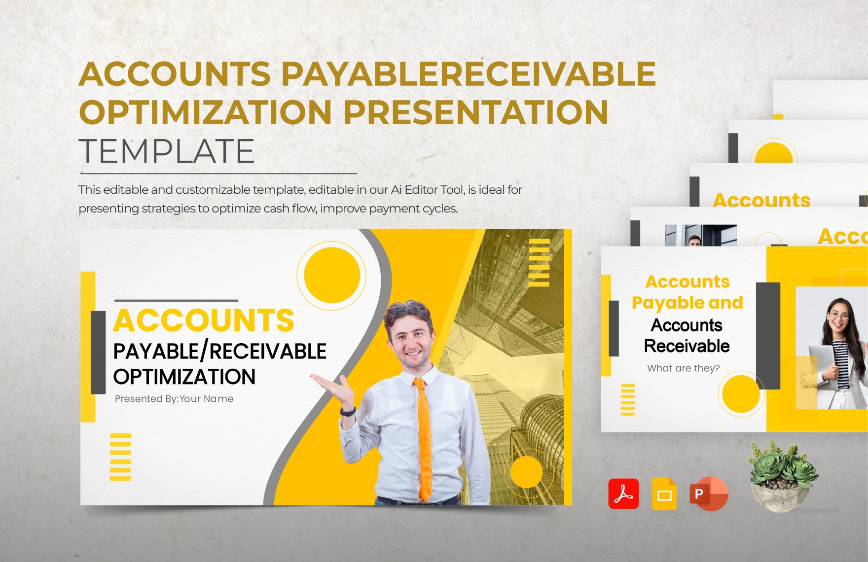 Free Accounts Payable/Receivable Optimization Presentation Template in PDF, PowerPoint, Google Slides