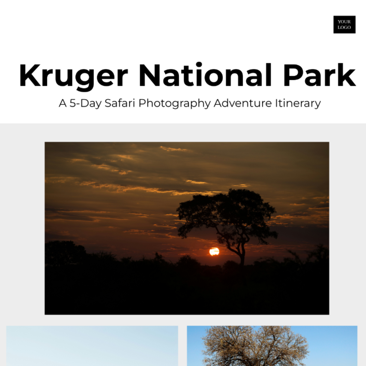 Kruger National Park Itinerary Template - Edit Online & Download