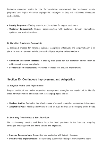 Free Advertising Online Reputation Management Plan Template to Edit Online