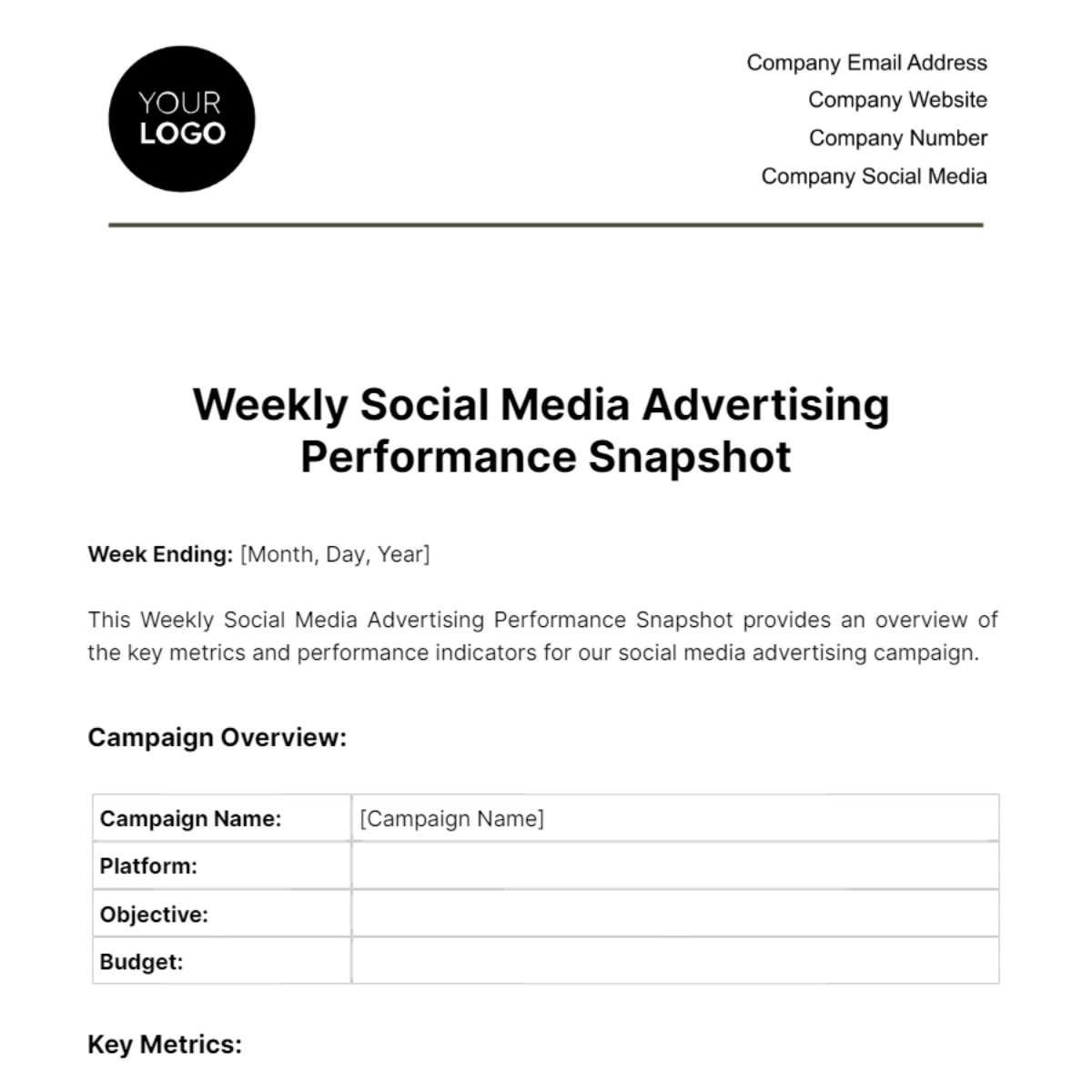 Weekly Social Media Advertising Performance Snapshot Template