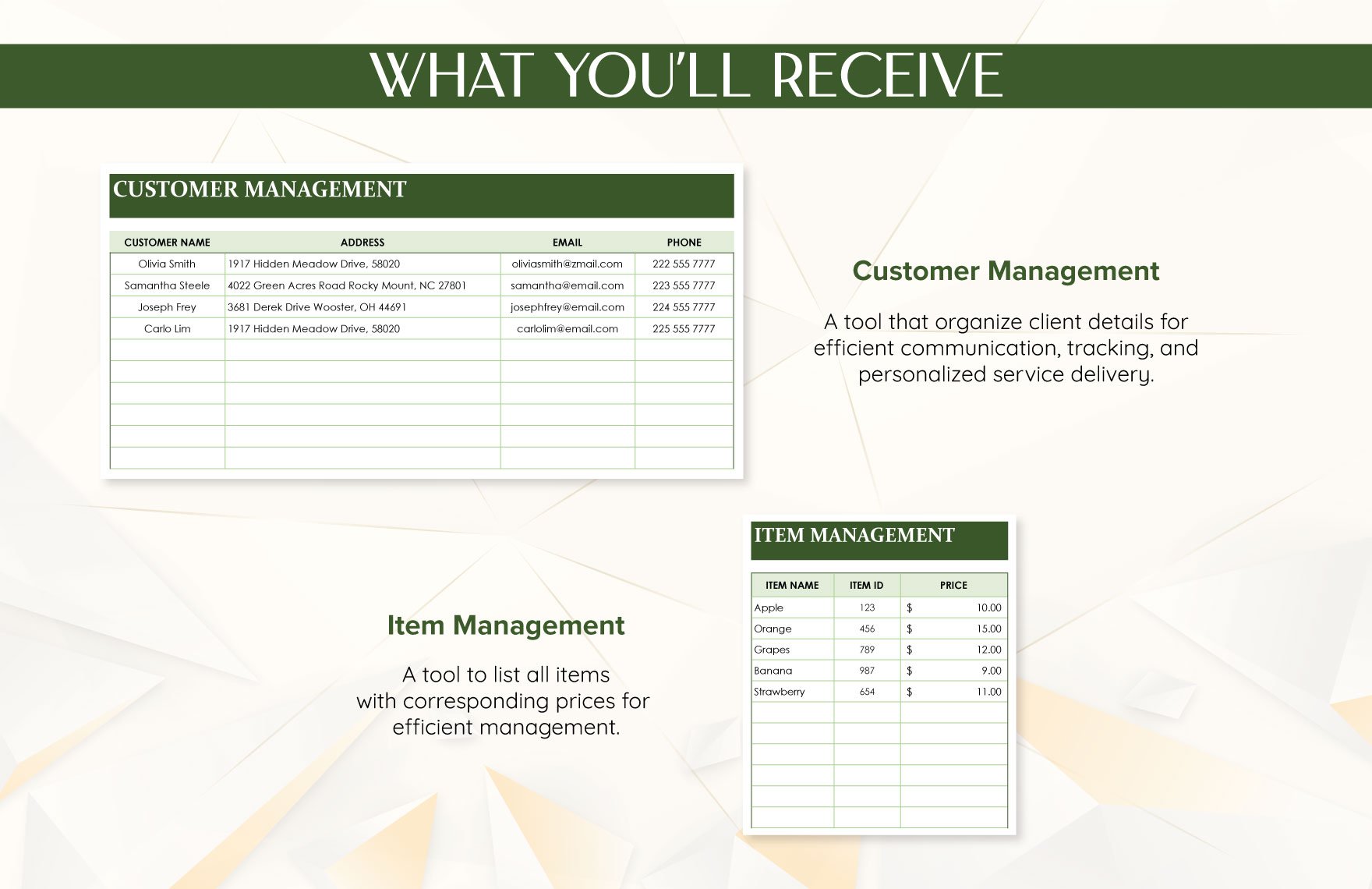 Modern Invoice Template