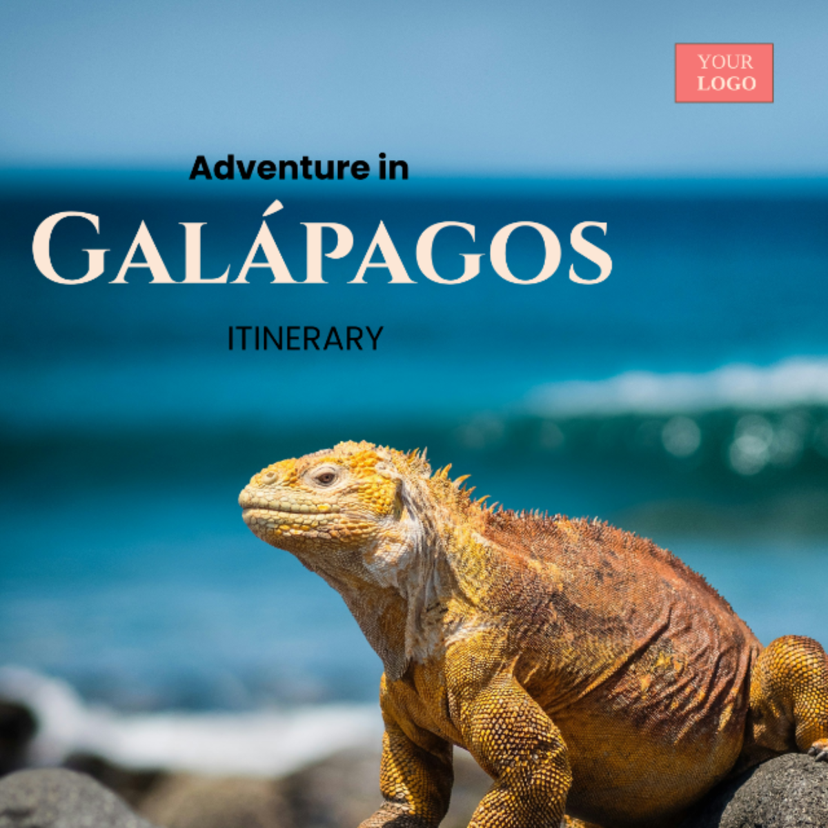 Galápagos Land Based Itinerary Template - Edit Online & Download