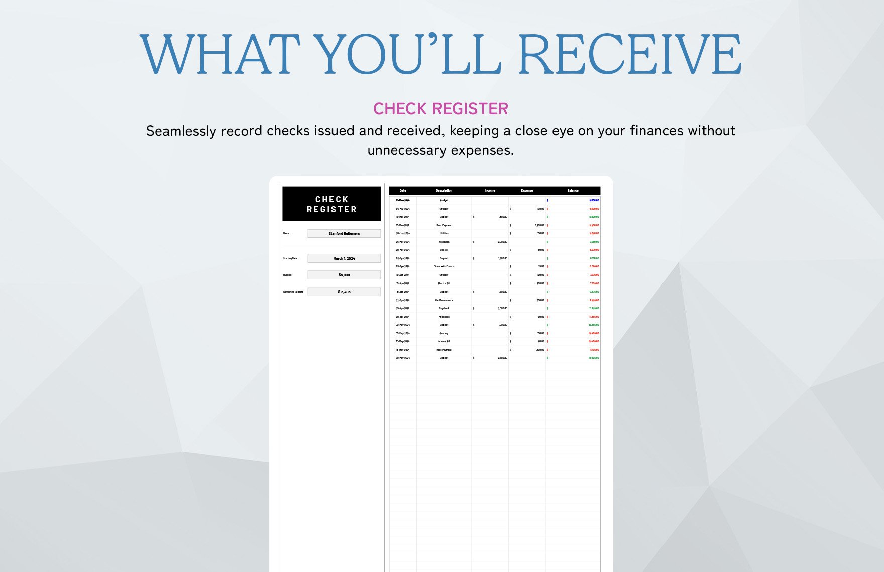 Budget-Friendly Check Register Template