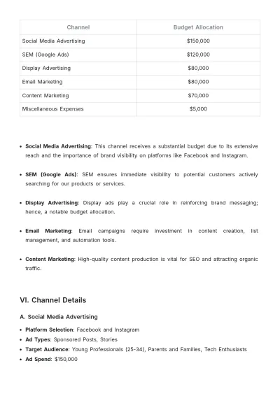 Free Advertising Multichannel Digital Media Plan Template to Edit Online