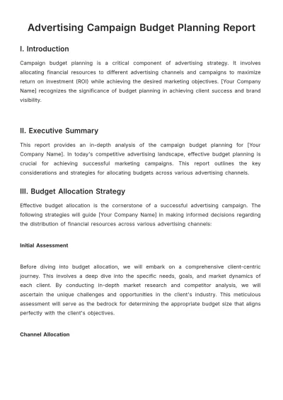 Free Advertising Campaign Budget Planning Report Template to Edit Online