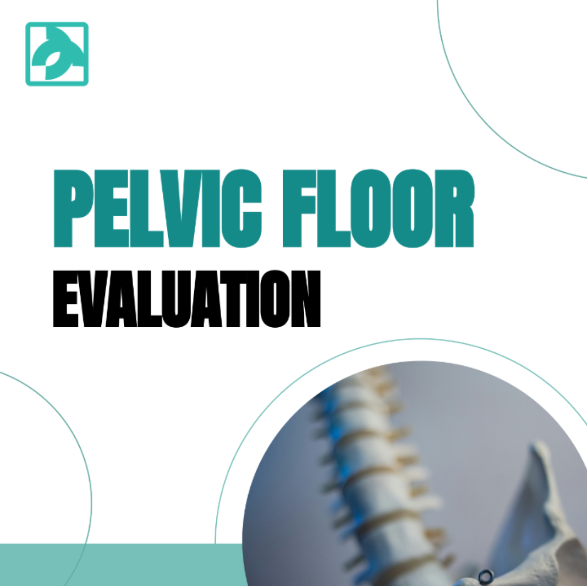 Pelvic Floor Evaluation Template - Edit Online & Download