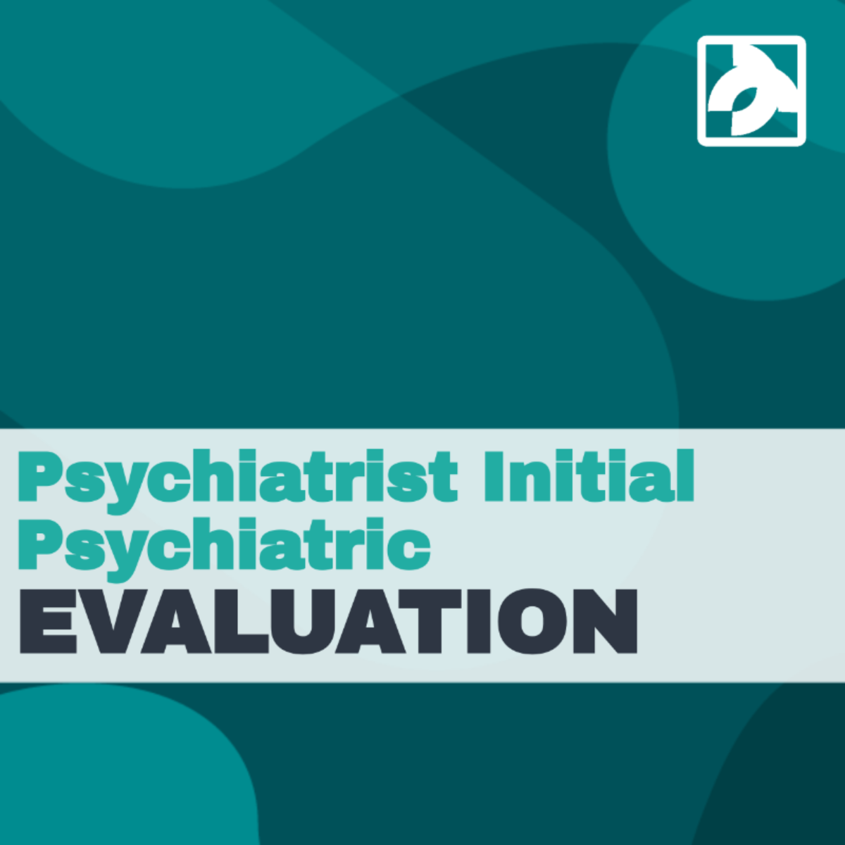 Psychiatrist Initial Psychiatric Evaluation Template