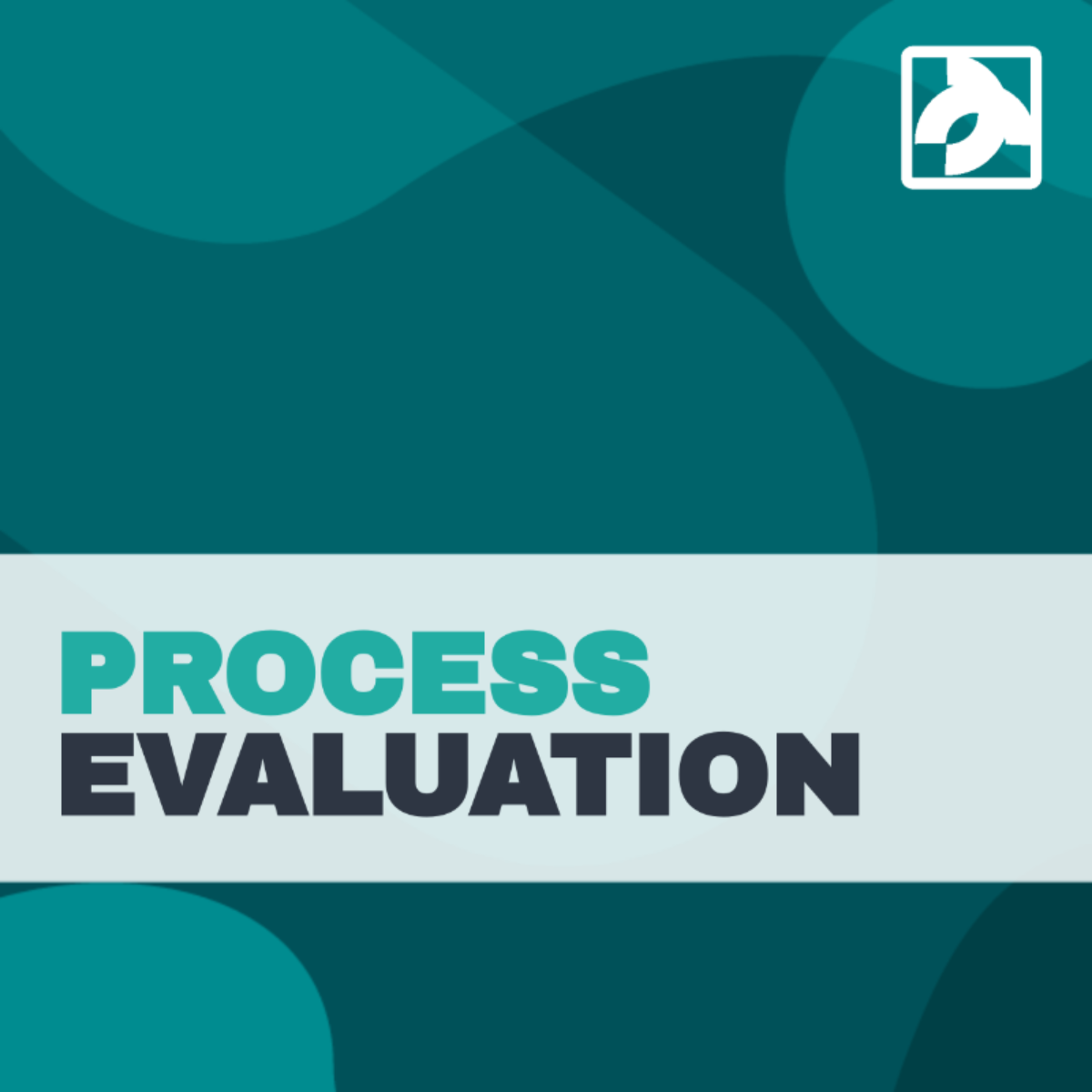 Process Evaluation Template