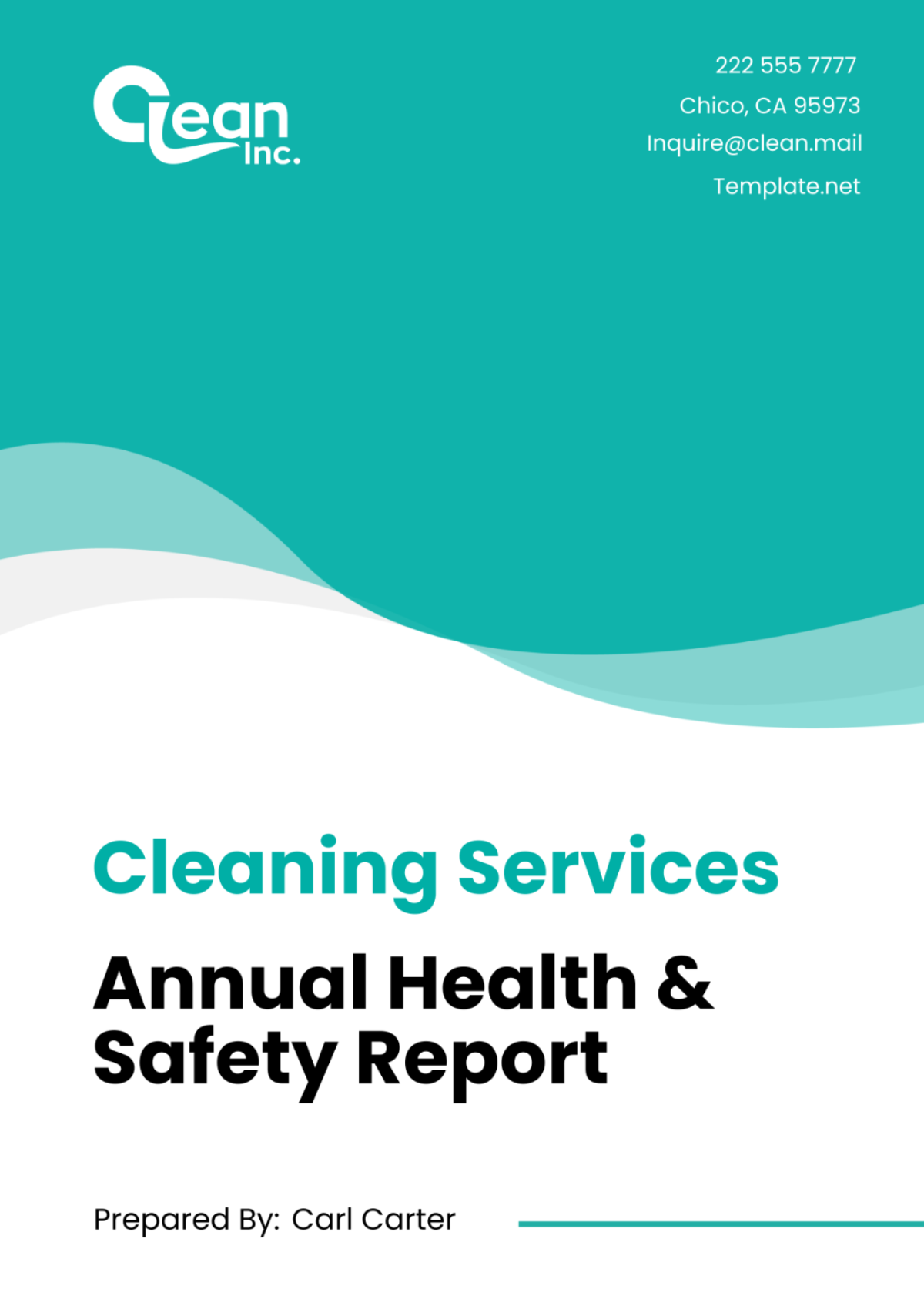 Cleaning Services Annual Health & Safety Report Template