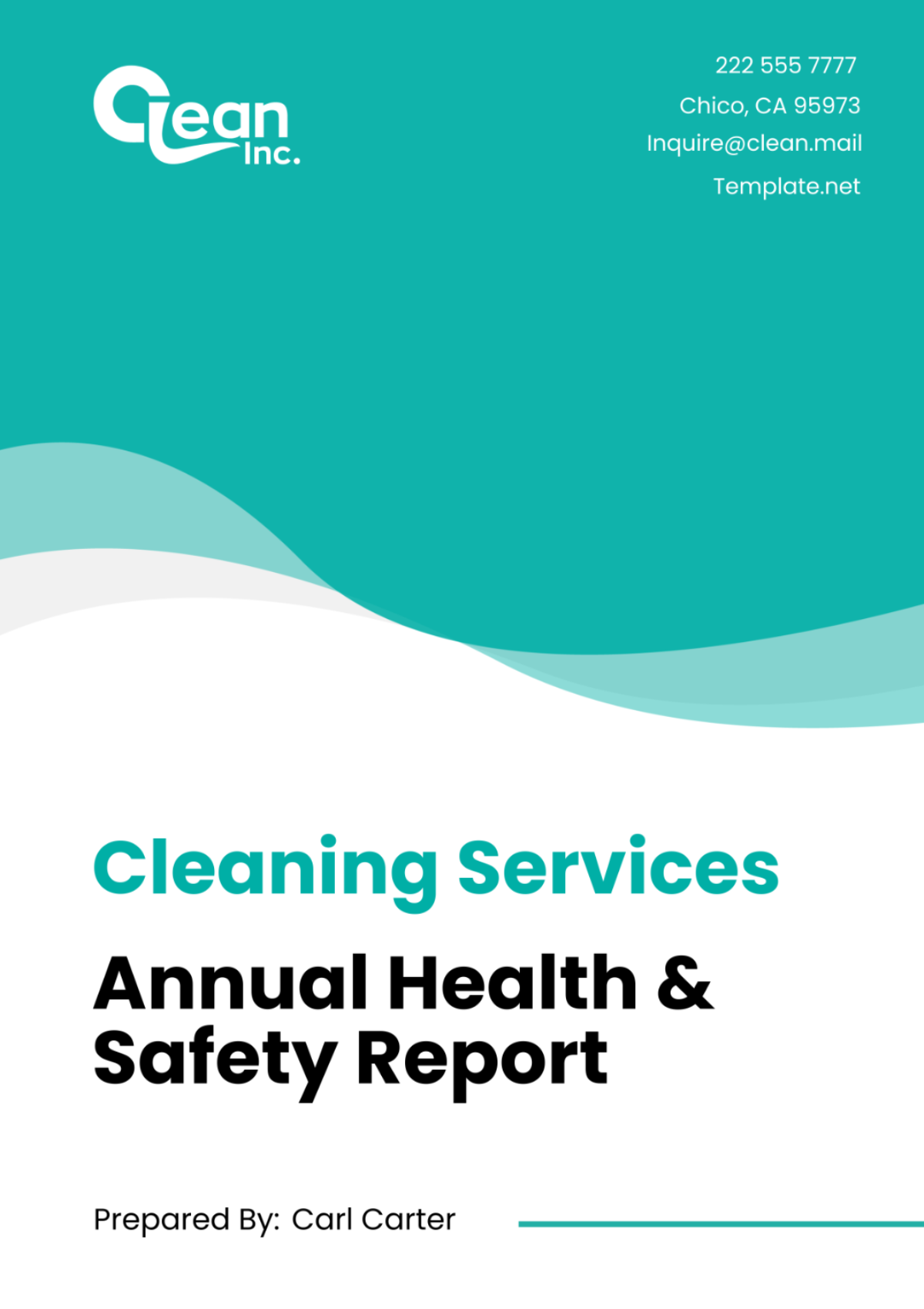 Cleaning Services Annual Health & Safety Report Template - Edit Online & Download