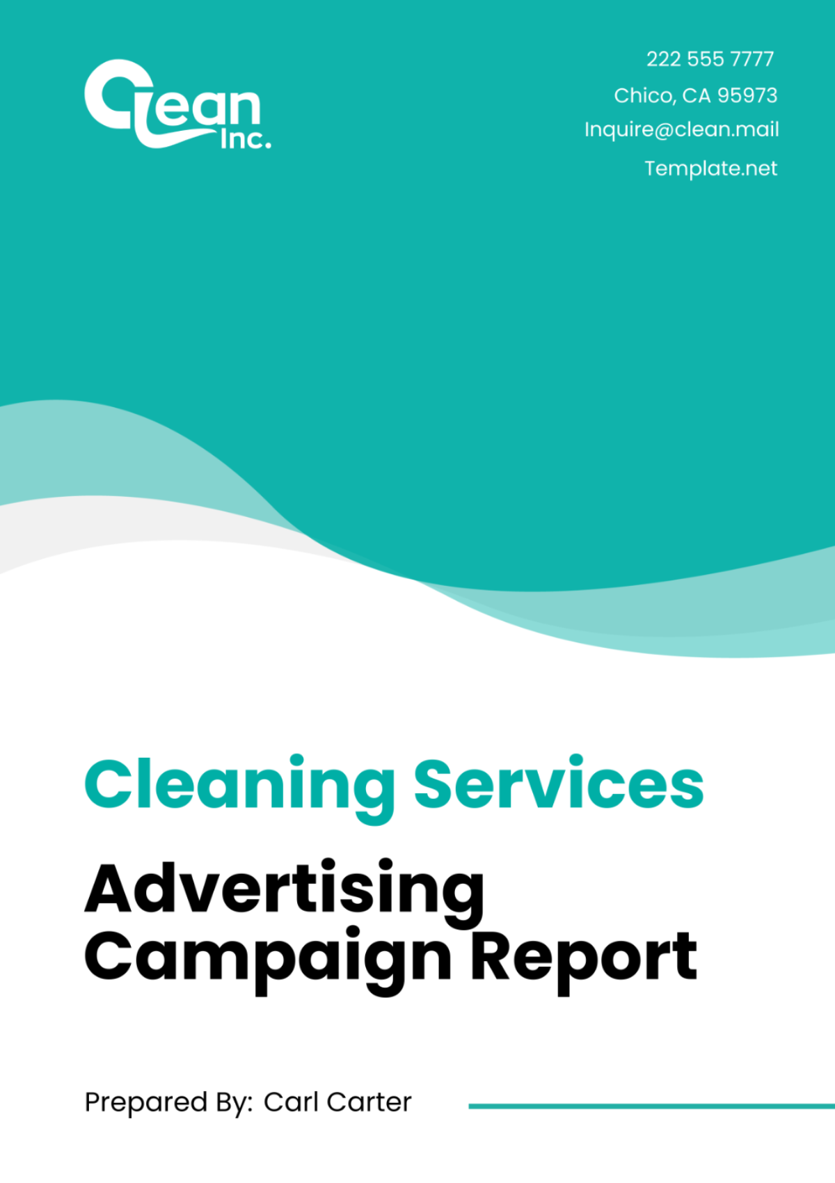 Cleaning Services Advertising Campaign Report Template