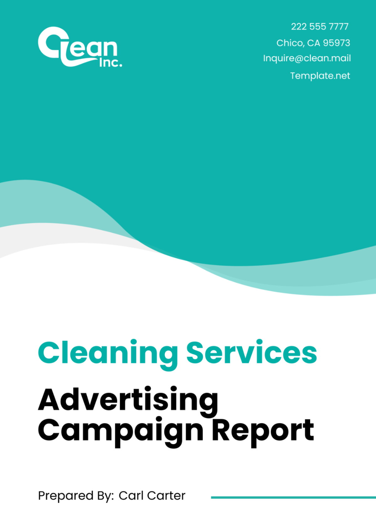 Cleaning Services Advertising Campaign Report Template - Edit Online & Download