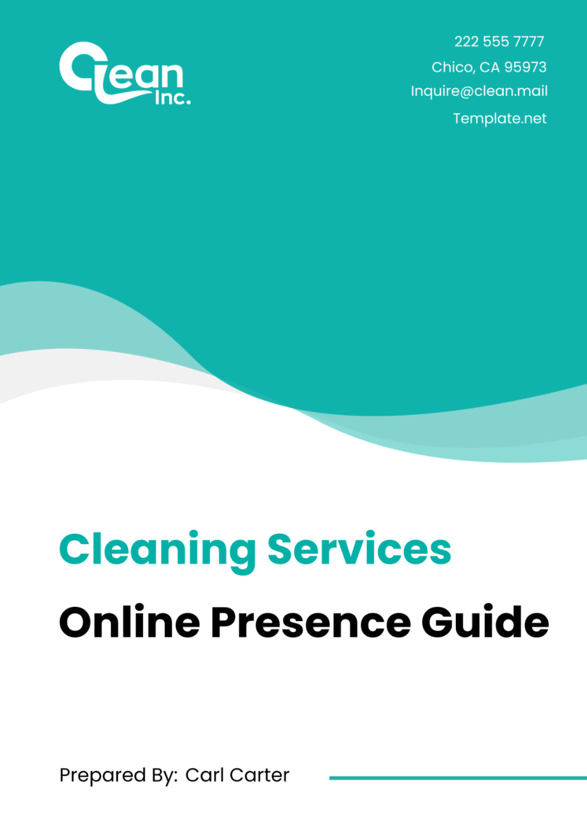 Cleaning Services Online Presence Guide Template - Edit Online & Download