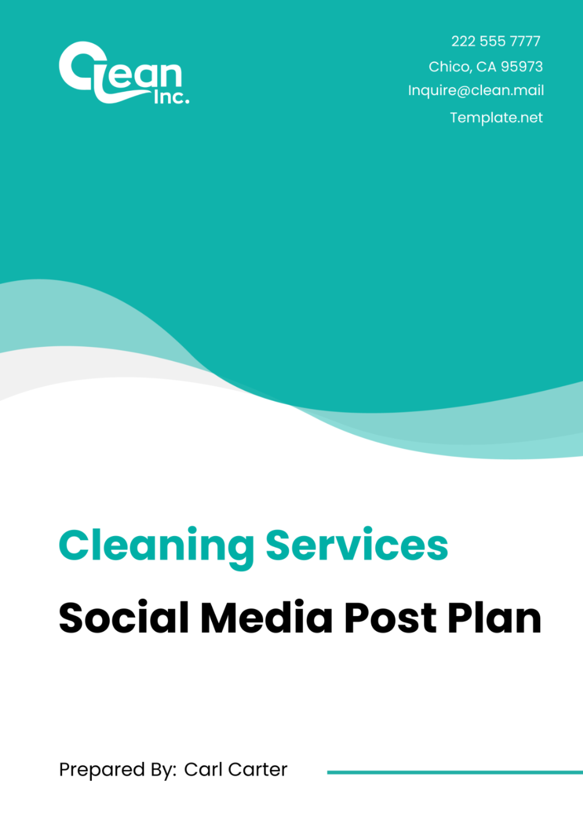 Cleaning Services Social Media Post Plan Template - Edit Online & Download