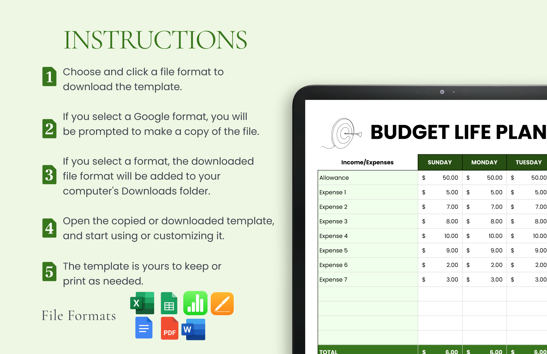 Budget Life Planner Template