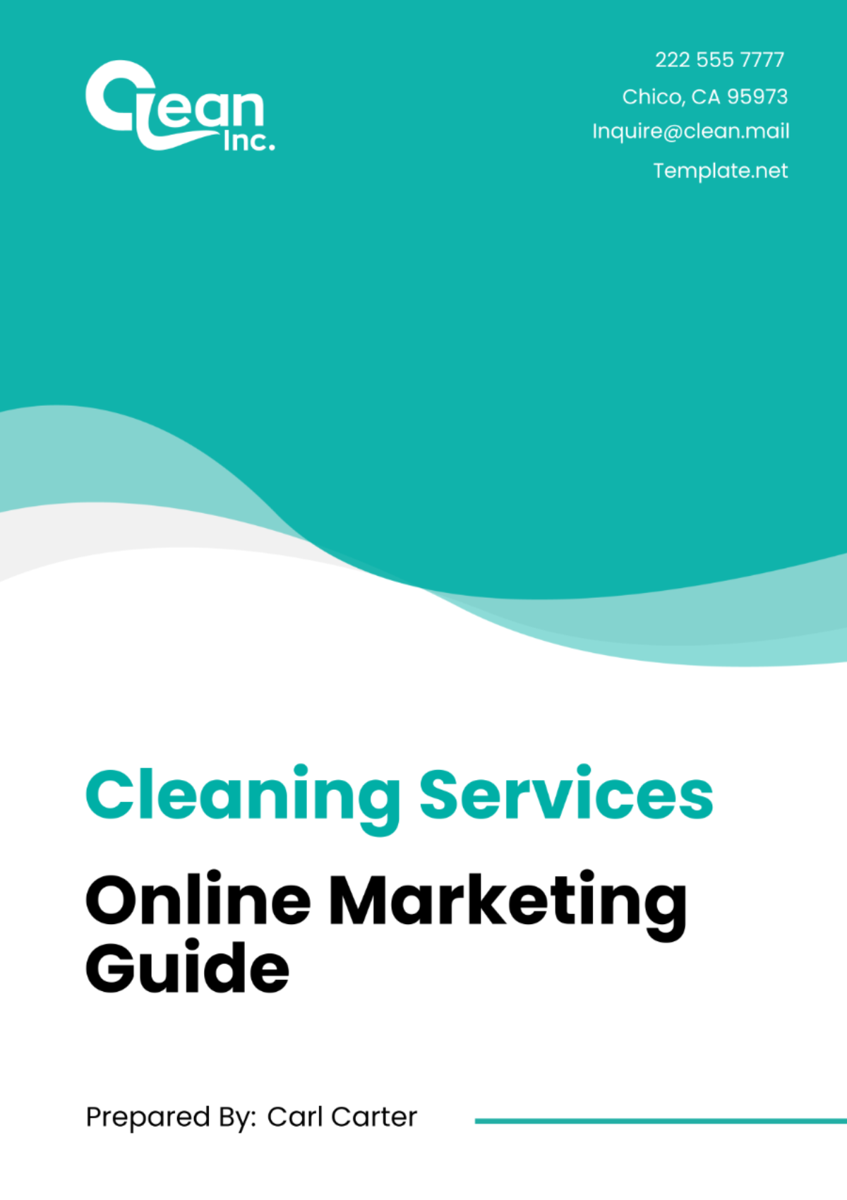 Cleaning Services Online Marketing Guide Template