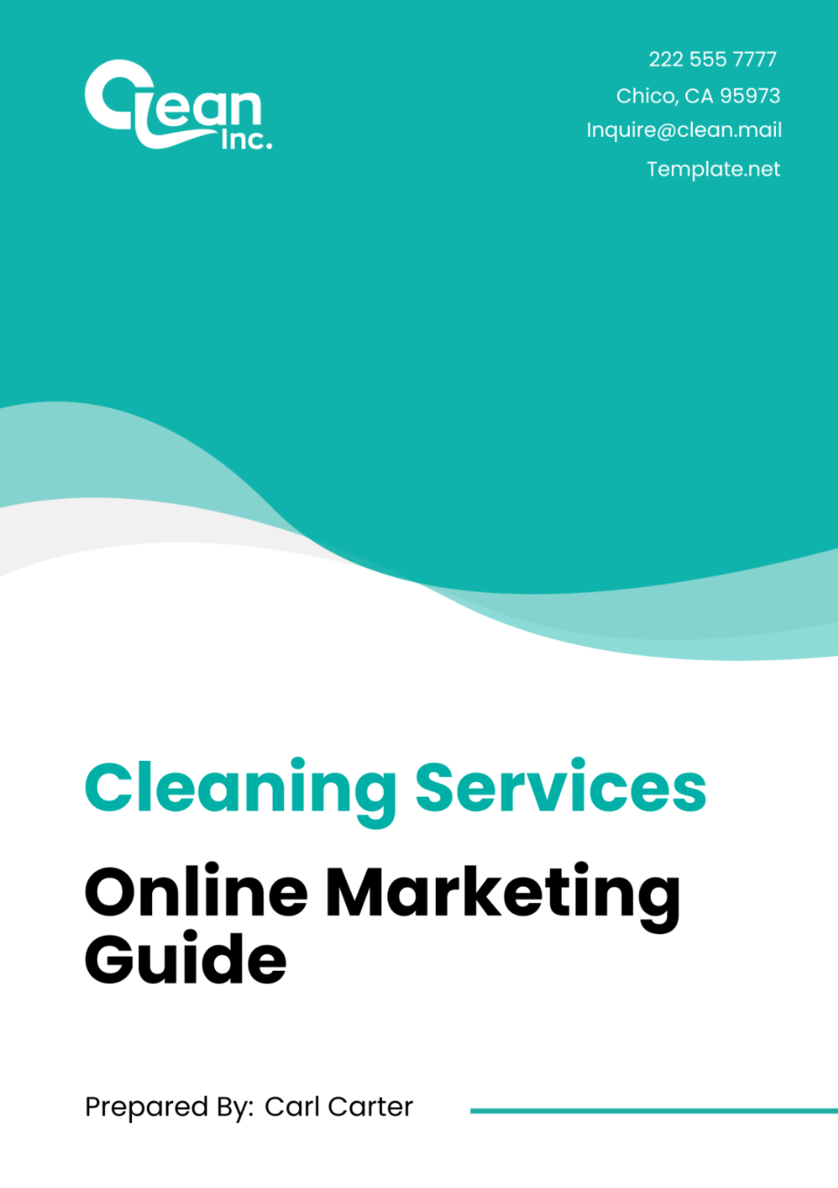 Cleaning Services Online Marketing Guide Template - Edit Online & Download