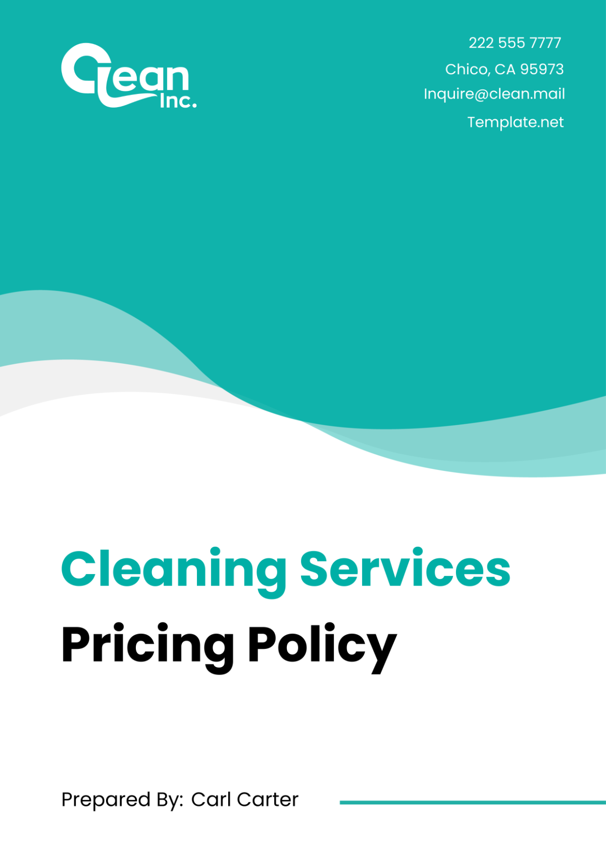 Cleaning Services Pricing Policy Template