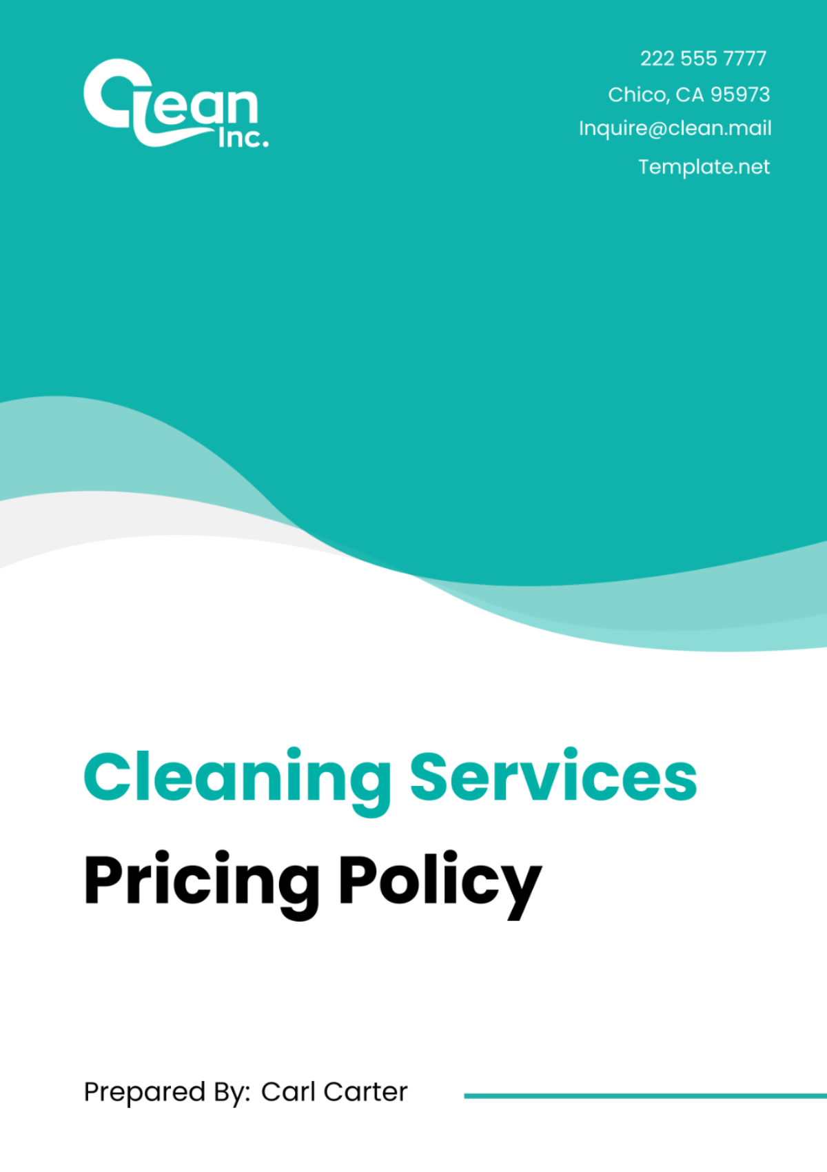 Cleaning Services Pricing Policy Template - Edit Online & Download