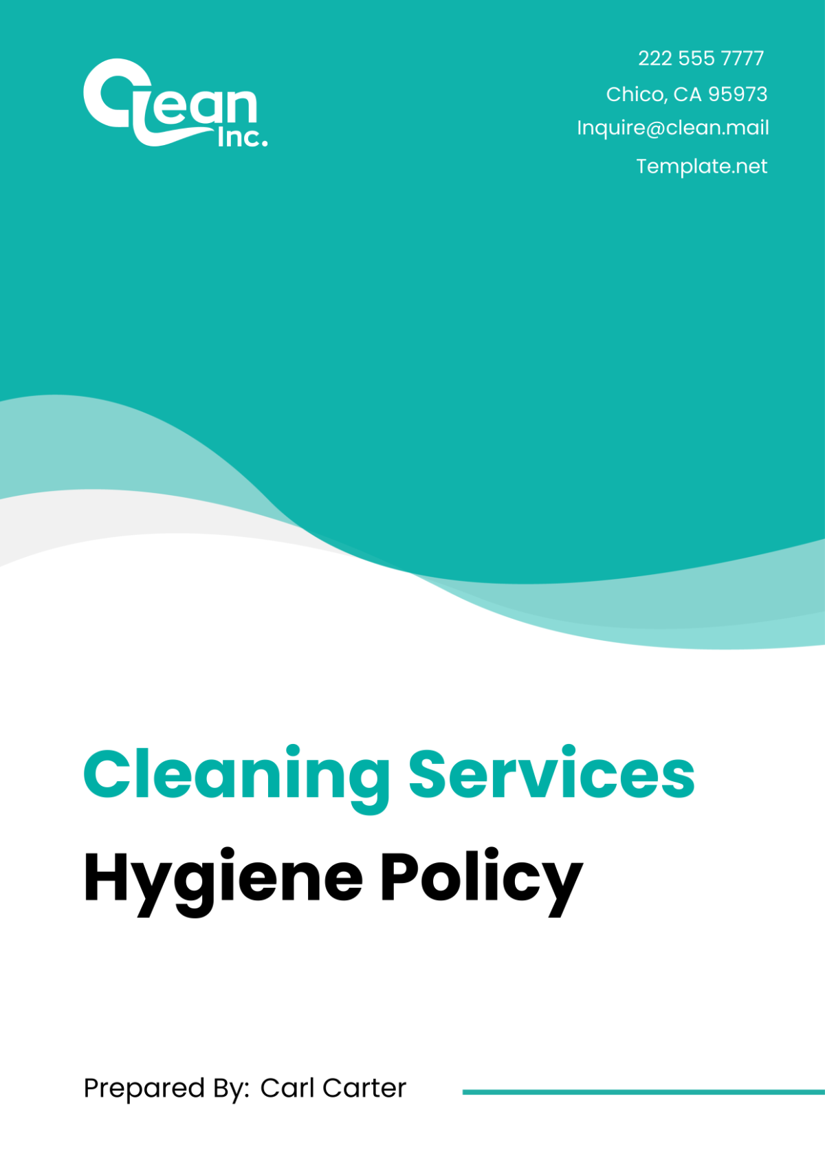 Free Cleaning Services Hygiene Policy Template