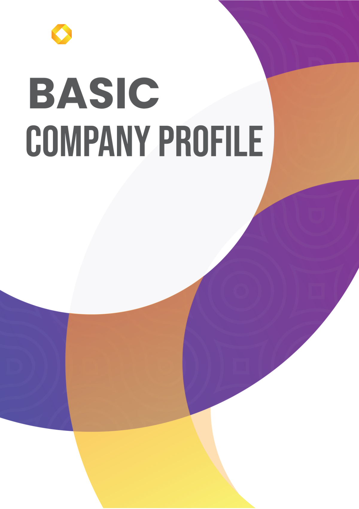 Basic Company Profile Template