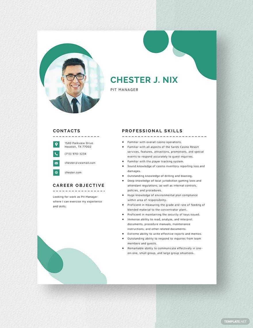 Free Pit Manager Resume