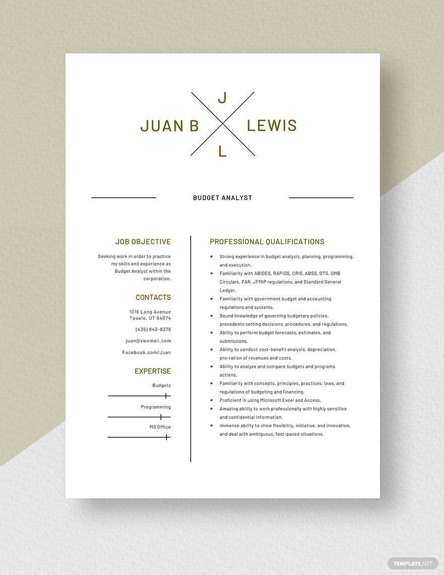 Free Budget Analyst Resume Template
