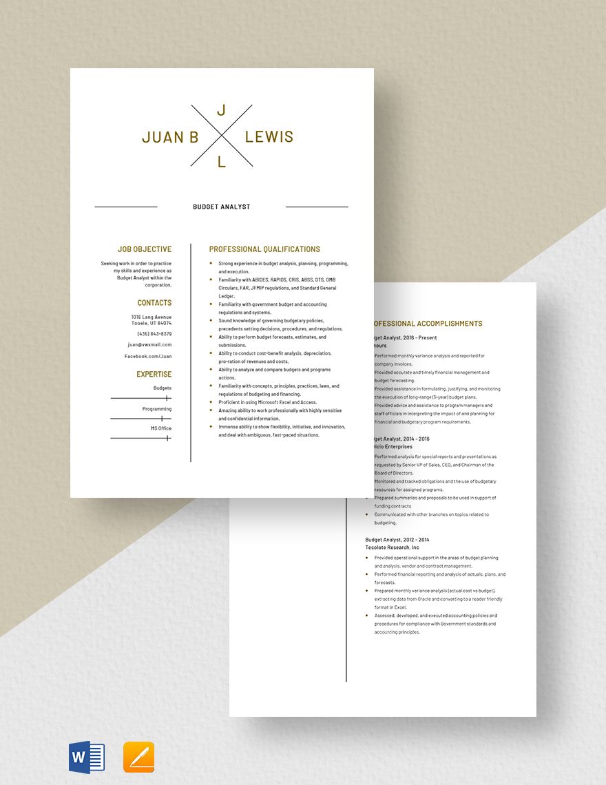 Budget Analyst Resume Template