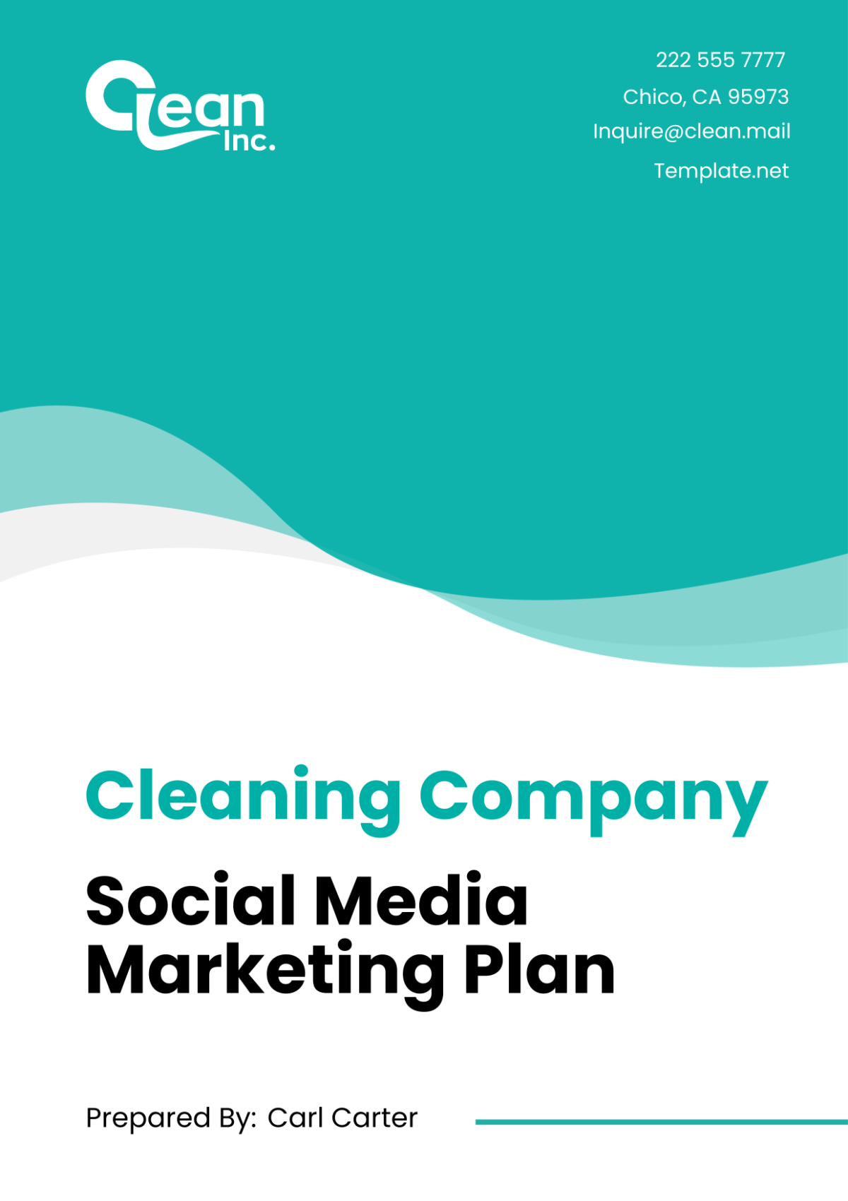 Cleaning Company Social Media Marketing Plan Template