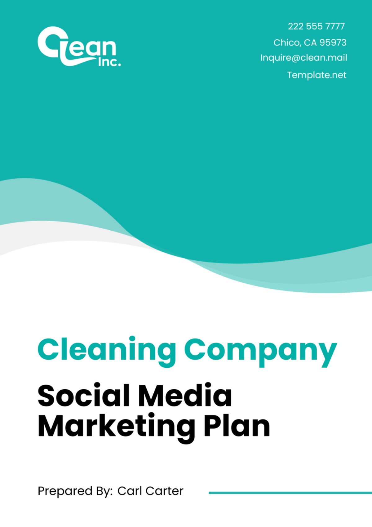 Cleaning Company Social Media Marketing Plan Template - Edit Online & Download