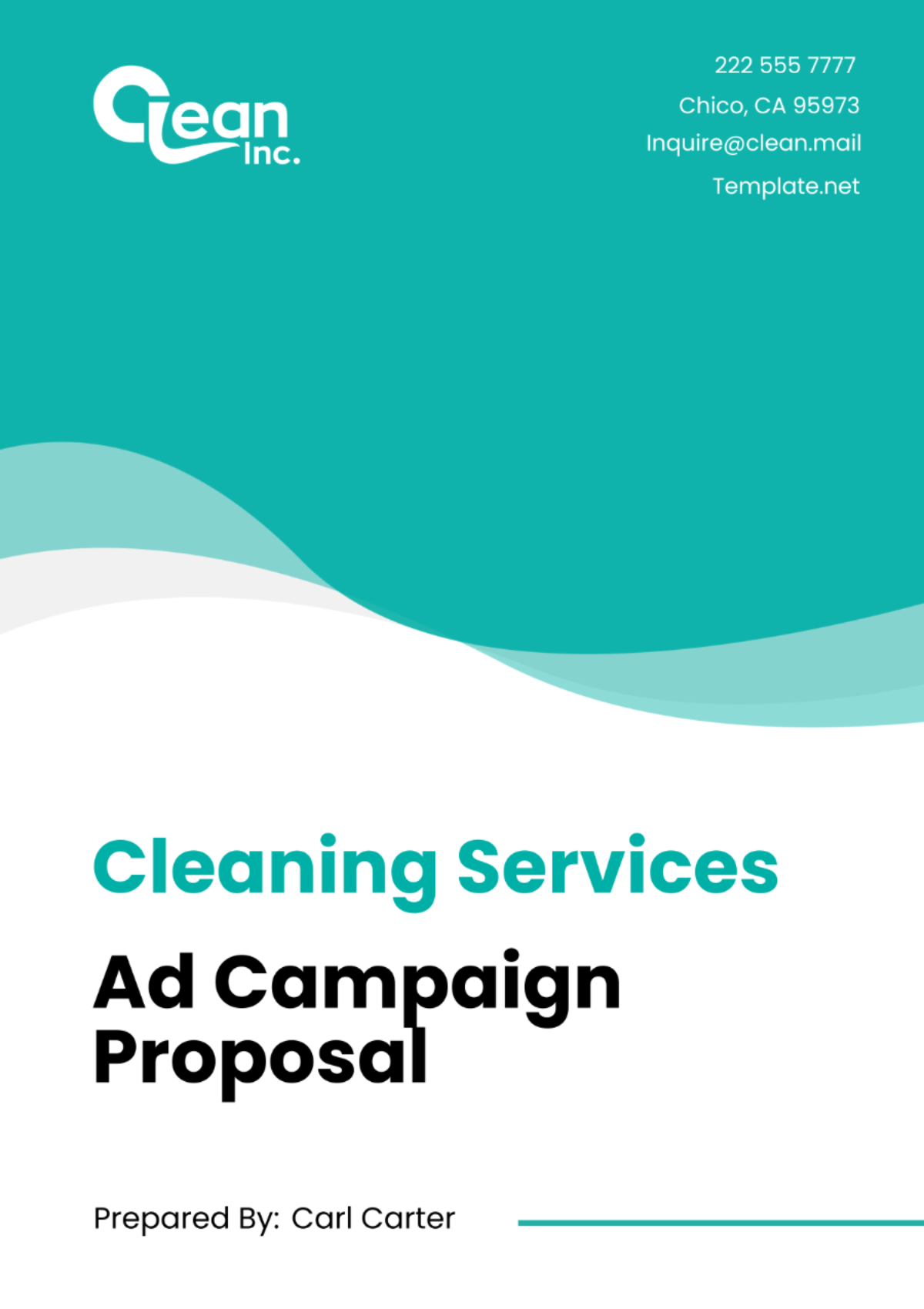 Free Cleaning Services Ad Campaign Proposal Template