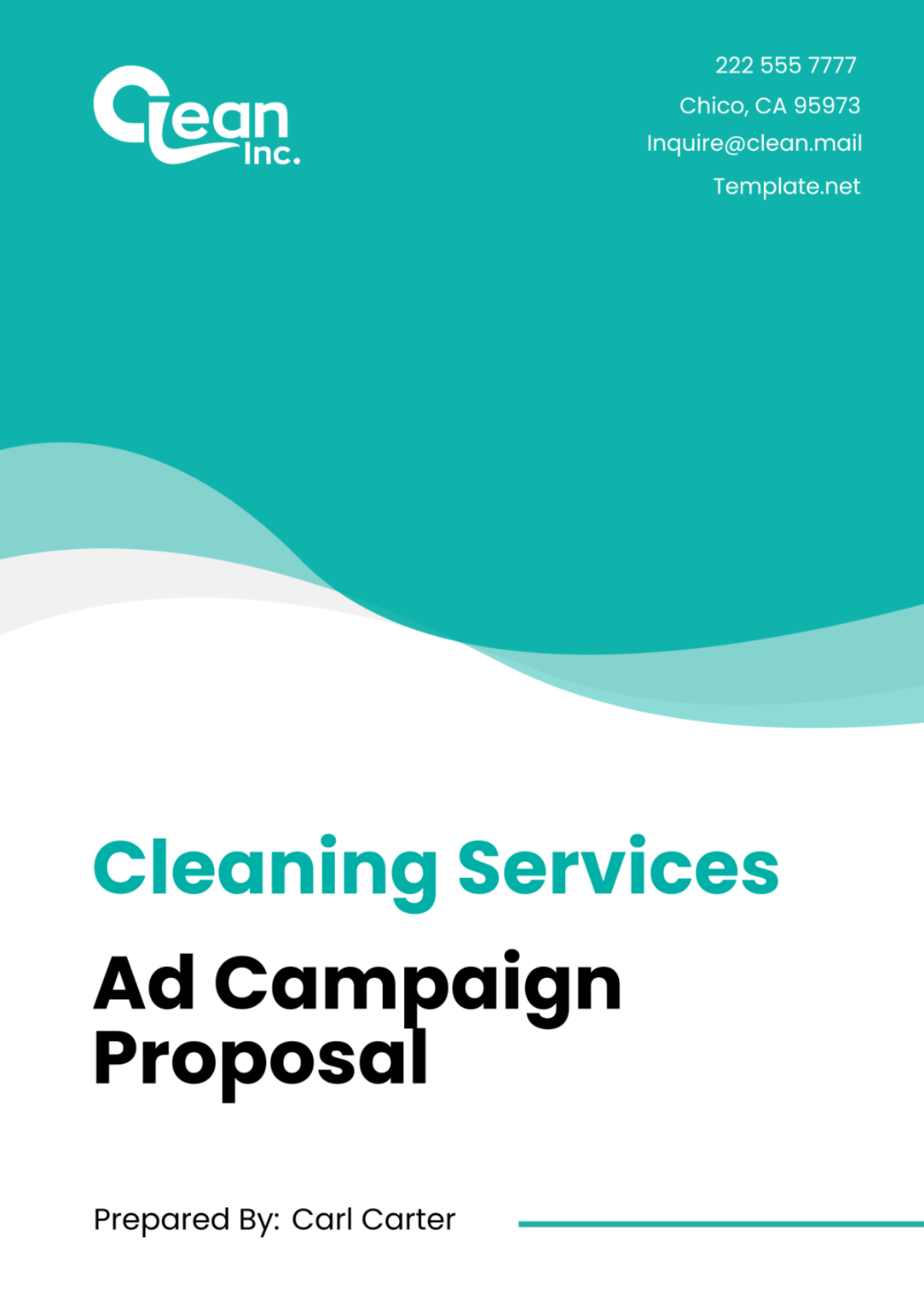 Cleaning Services Ad Campaign Proposal Template - Edit Online & Download