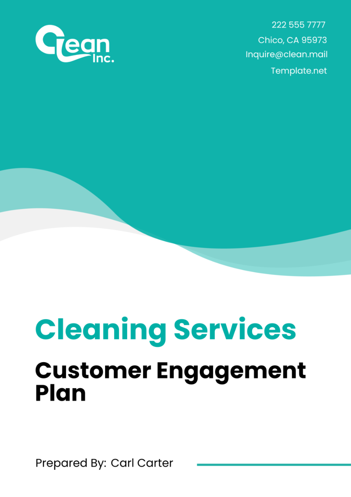 Cleaning Services Customer Engagement Plan Template - Edit Online & Download