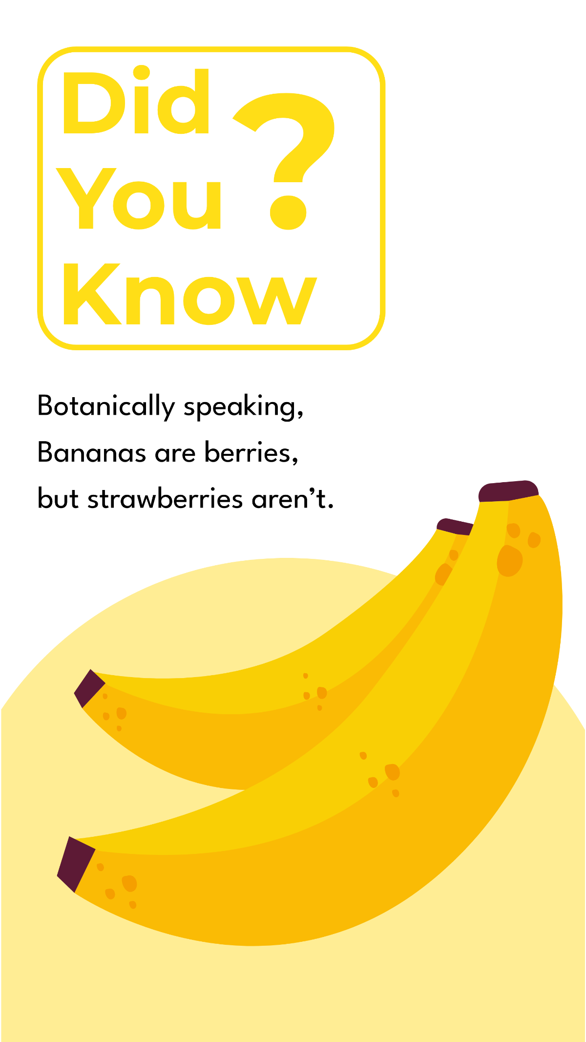 Did You Know Banana X Post  Template